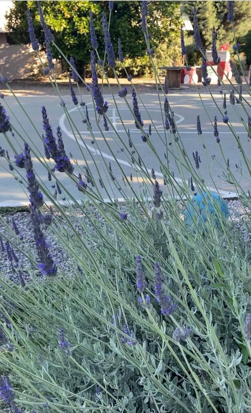Lavender Farm House Нафпактос Экстерьер фото